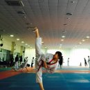 태풍태권도장 이미지