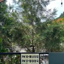 캠핑스마일 이미지