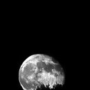 엑스포로2(동) 이미지