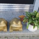 선우경순대 이미지