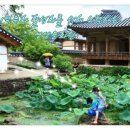 감천의 영웅들 이미지