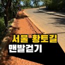 서대문구청 제1세미나실 | 서대문 안산 황토길 맨발걷기 어씽 후기 (+주차팁), 연희동 브런치까지 완벽한 주말 코스