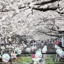 진해구 ⓒ-27 이미지