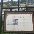 율곡천 7 이미지