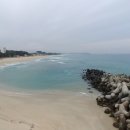 동해바다 이미지