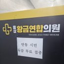 용상황금연합의원 이미지