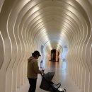 상오방2 | 내돈내산 아난티앳부산코브 커넥팅룸 후기