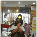 프로헤어예작 네이버블로그
