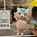 강원도 청춘 양구곰취축제 행사일정 먹거리 여행 추천