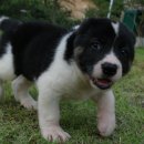 미들농장 이미지