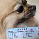 오나요 | 전주 강아지 내장칩 등록 후 동물등록증 언제 오나요?📮 밍키 실제 후기 🐶