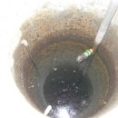 대지이용원 이미지