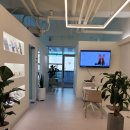 레푸스 화정점 이미지