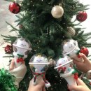 소버바이샷 | [20231224 엔플라잉 ㅋㅎㅎ DAY1] 최애밴드와 함께한 최고의 크리스마스 이브🎄🎅🏻☃️❤️‍🔥