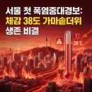 중대경로당 | 서울 첫 폭염중대경보 원인 분석 및 대처법, 체감 38도 가마솥더위 생존 비결