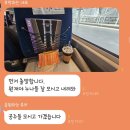 올해 마지막 봄…일듯