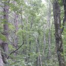 남대리경로당 이미지