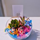 은평초등(병설) 이미지