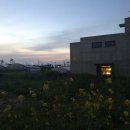 콘크리트 맨숀 이미지