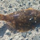 소포마을도로 이미지