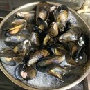 직거래수산 - 용인시 처인구 이동읍 | 직거래수산