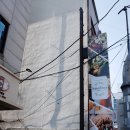 방배그린축산 | 이수역샐러드 : 샐러데이즈 이수방배점 | 건강식단 맛있게 챙기기