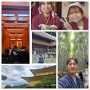 (유)라정시내버스 | 오사카 교토 당일치기 버스투어 일정 | 유튜어버스 가이드 아라시야마 일정 여행지도 준비물