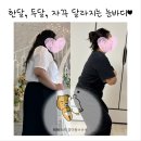 라이프식품 | 칼로리도 당지수도 낮은 식사 대용식품 허벌라이프 쉐이크 먹고 -30kg 감량 후기!