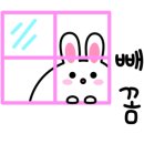 제기동 마약고기 이미지