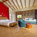 아일랜드코쿤 이미지