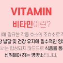 앤여성건강 티스토리