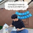 펫라이프 | 안양애견운동장 마이펫라이프 단독대관 및 강아지생일파티 후기
