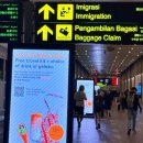 가야렌트카 | 발리 프라이빗 자유여행 일정 코스 계획 팁 발리 렌트카 후기