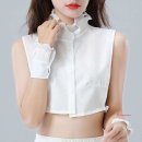 폴라