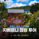 카페 라자르 | 지베르니 정원 모네 지베르니 정원 투어 예약 방법 투어없이 가는 방법