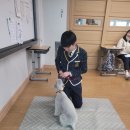 고헌중학교 이미지