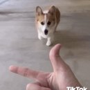태양파워텍