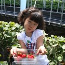 빛초롱어린이집 이미지