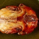 또오리 전문점 이미지