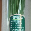 이삭 RPC 이미지