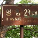 대티골마을 Daum카페