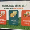 선비꼬마김밥둔산
