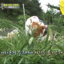상귀농장 이미지