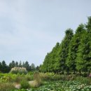 옛집황토방2 이미지