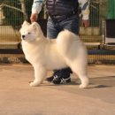 스타클라우드 이미지