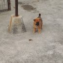 우리두리 이미지