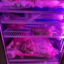 꿀돼지집 이미지