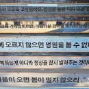 덕이통신 이미지