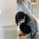 프랑소와펫 강남센터점 | 청담애견미용, 압구정애견호텔:: 프랑소와펫 강남센터에서 고급애견용품 쇼핑 후기