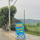 상어지 수변공원 | 춘천 물놀이장 춘천썸머워터페스티벌 오픈일 방문 후기